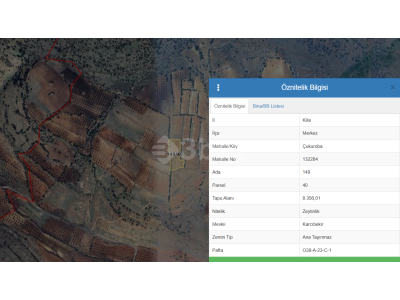 Kilis Merkez'e Yakın ve Gelecek Vaat Eden Fırsat Zeytinlik